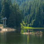 Synevyr National Nature Park in Zakarpattia